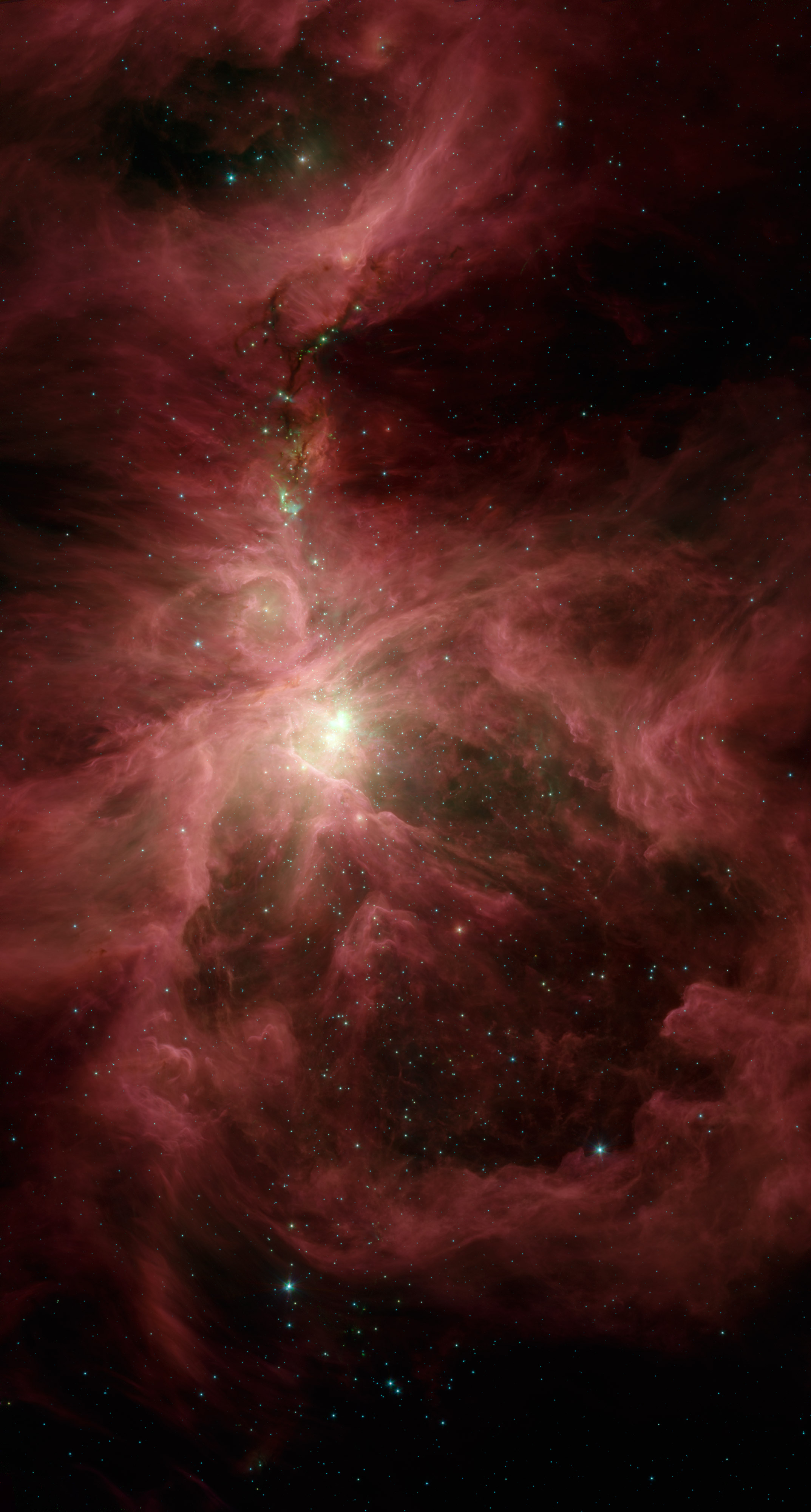 Sword of Orion: This infrared image from Spitzer Space shows the Orion nebula, our closest massive star-making factory, 1,450 light-years from Earth. Credit: NASA/JPL-Caltech/Univ. of Toledo