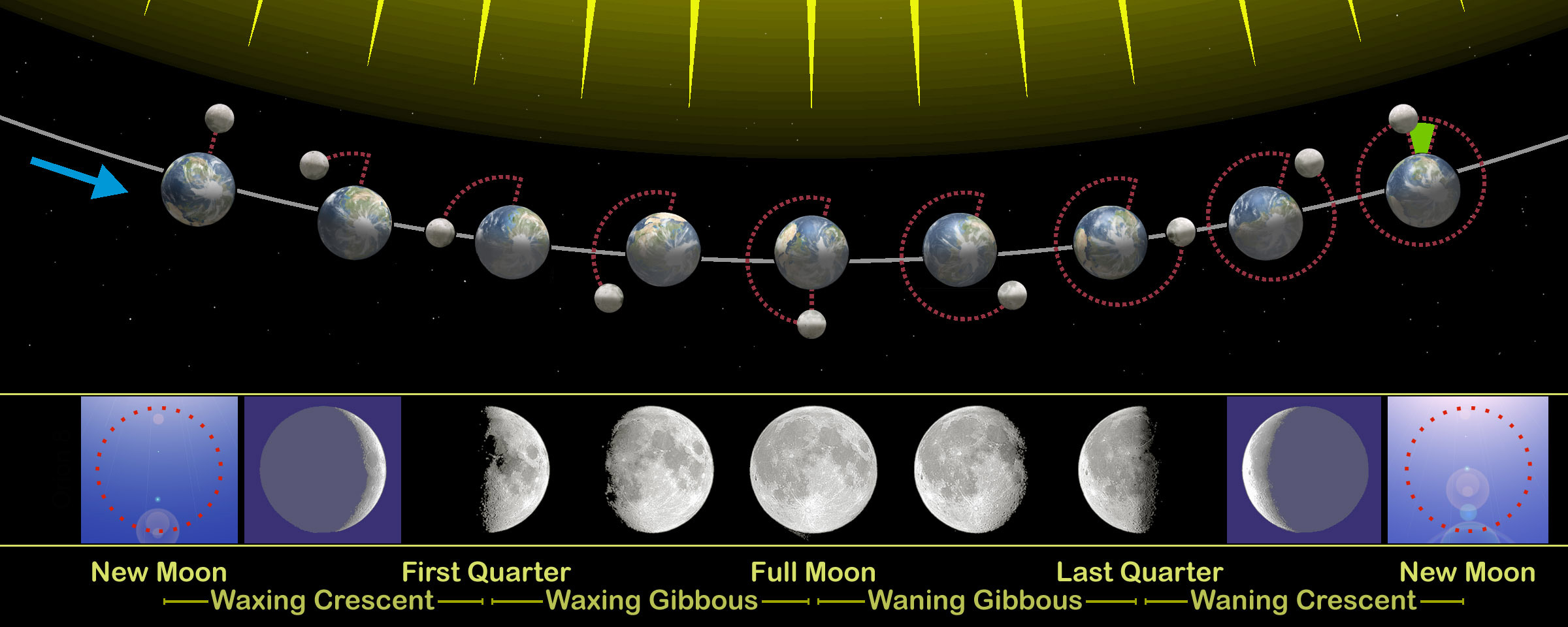 The relation of the phases of the Moon with its revolution around Earth. The sizes of Earth and Moon, and their distance you see here are far from real. On this image the following are also depicted: the synchronous rotation of the Moon, the motion of the Earth around the common center of mass, the difference between the sidereal and synodical month (green mark), the Earth’s axial tilt. Credit: Orion 8 via wikipedia.com
