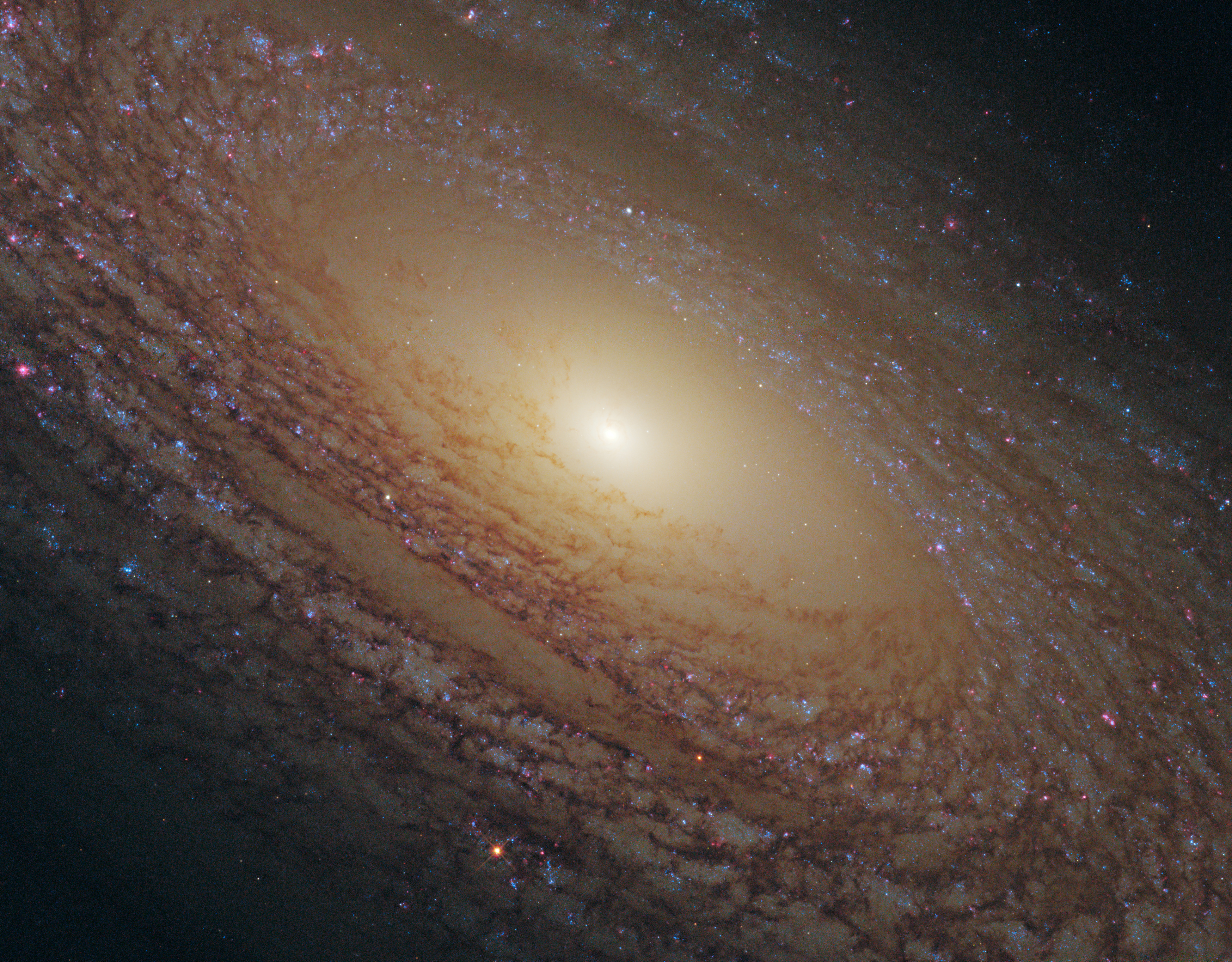 HUBBLE'S TOP 100 • #27 • Credit: NASA, ESA and the Hubble Heritage (STScI/AURA)-ESA/Hubble Collaboration