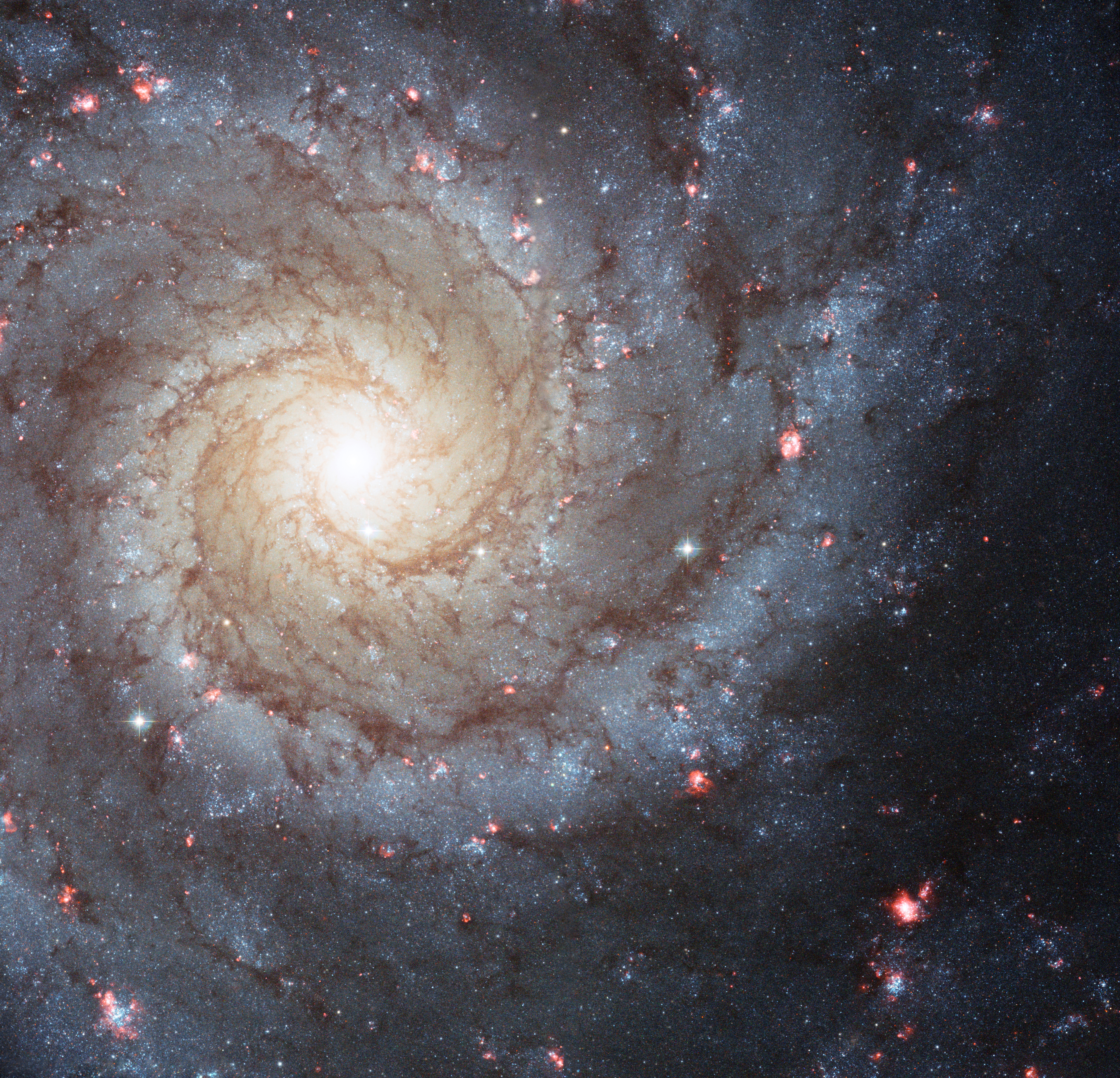 HUBBLE'S TOP 100 • #32 • Credit: NASA, ESA, and The Hubble Heritage (STScI/AURA)-ESA/Hubble Collaboration