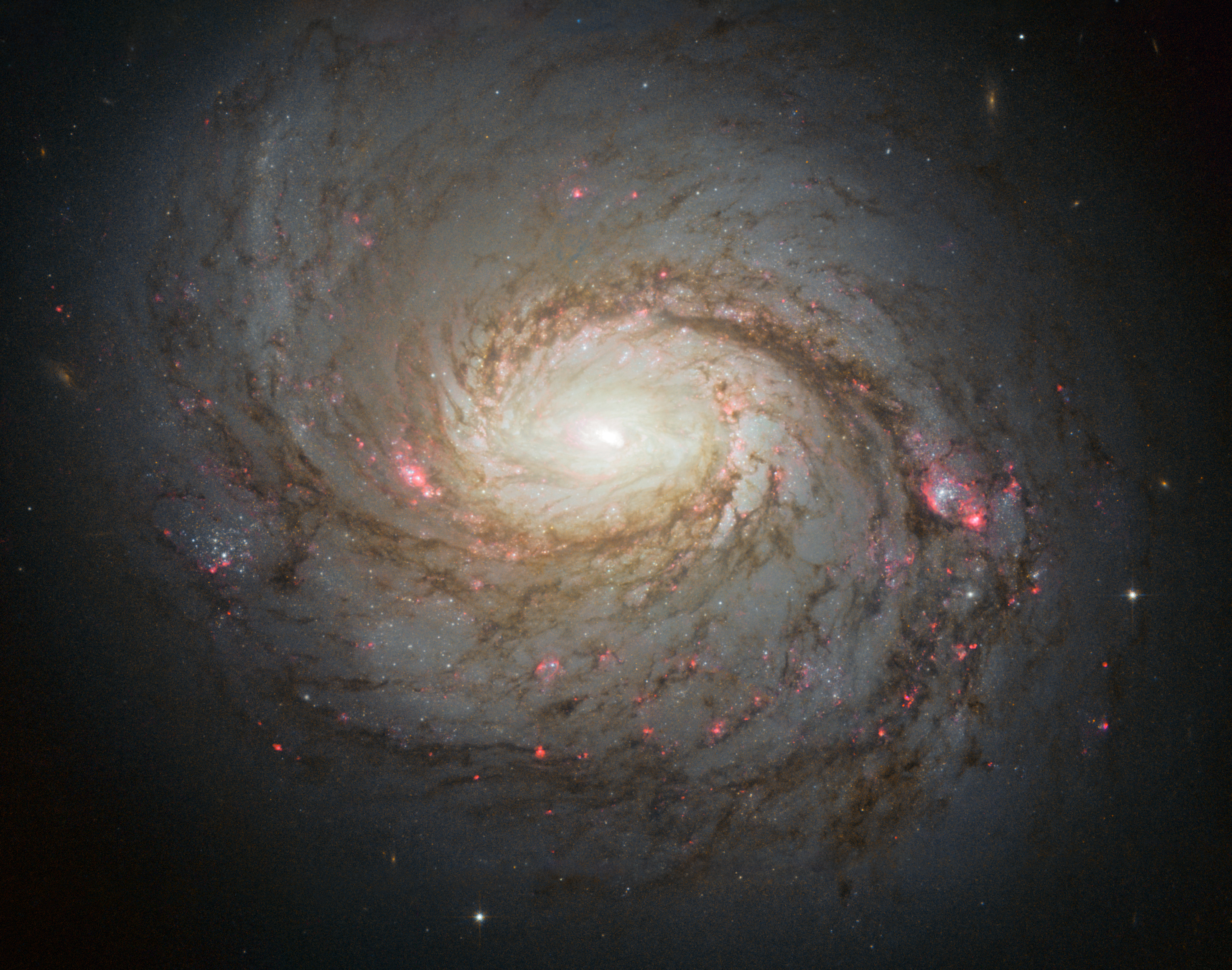 HUBBLE'S TOP 100 • #48 • Credit: NASA, ESA & A. van der Hoeven