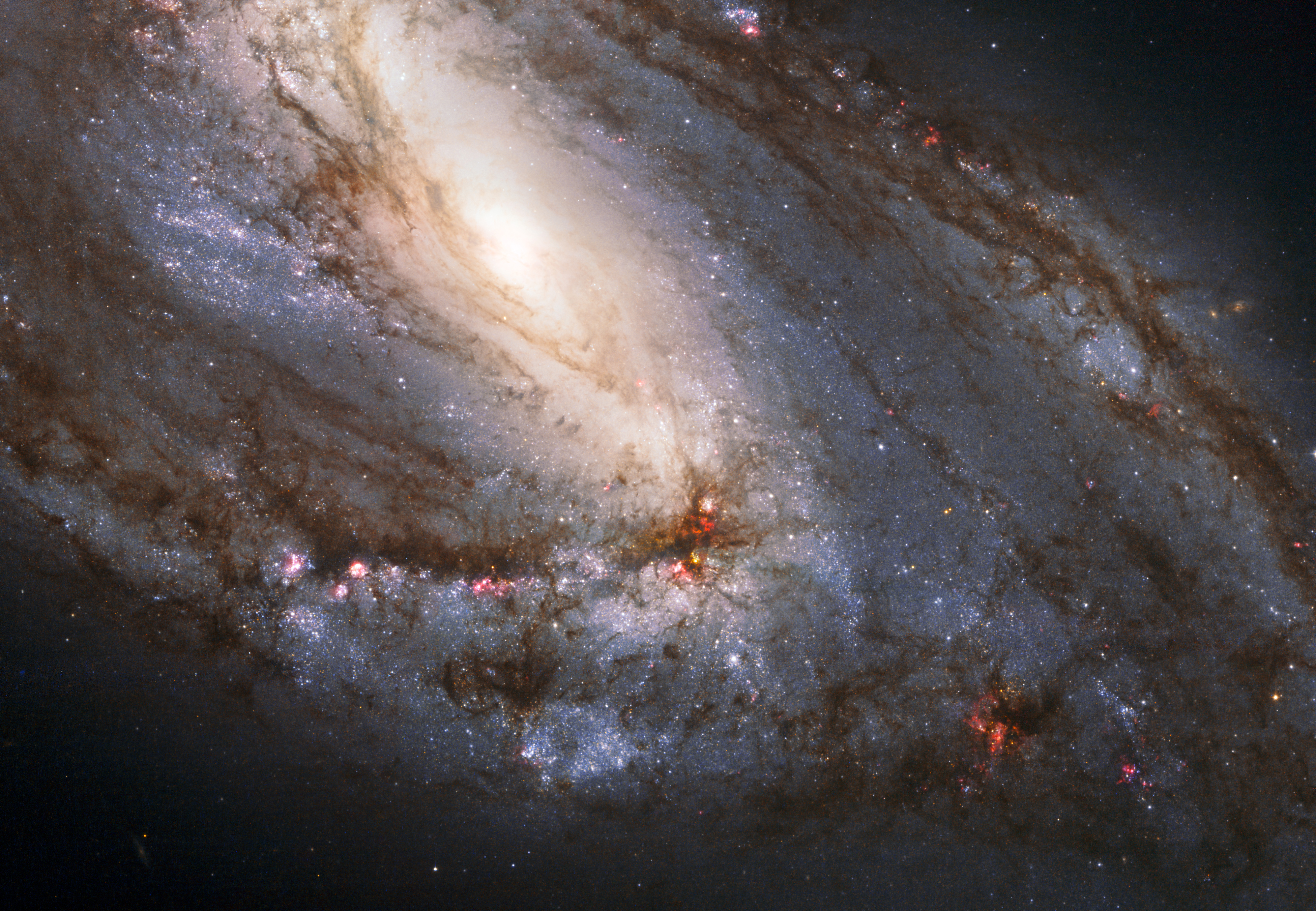 HUBBLE'S TOP 100 • #75 • Credit: NASA, ESA and the Hubble Heritage (STScI/AURA)-ESA/Hubble Collaboration