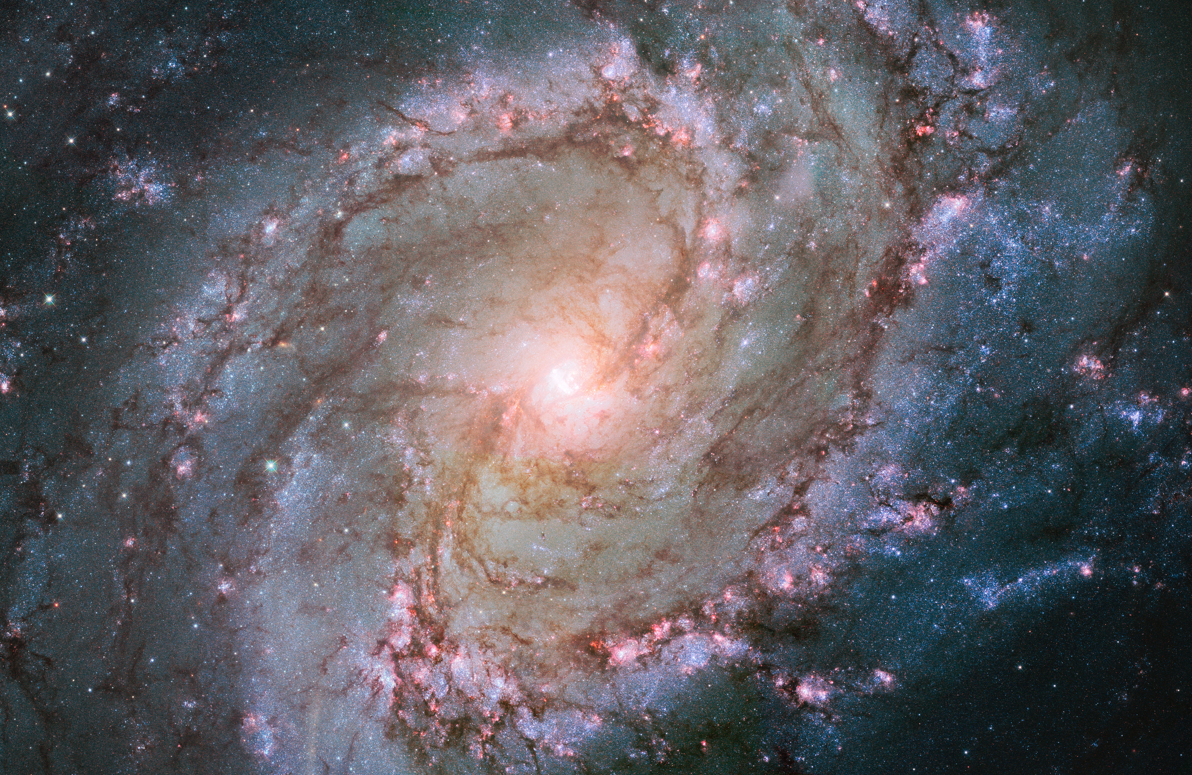 HUBBLE'S TOP 100 • #84 • Credit: NASA, ESA, and the Hubble Heritage Team (STScI/AURA)