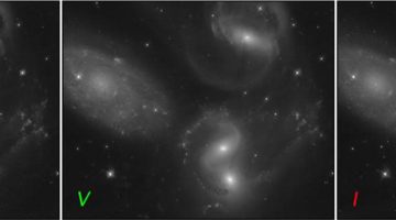 HST WFC3/UVIS images of the galaxy group Stephan’s Quintet in three broad-band visible-light filters; left: F439W (B), center: F555W (V) and right: F814W (I).  Credit: STScI, OPO, Zolt Levay