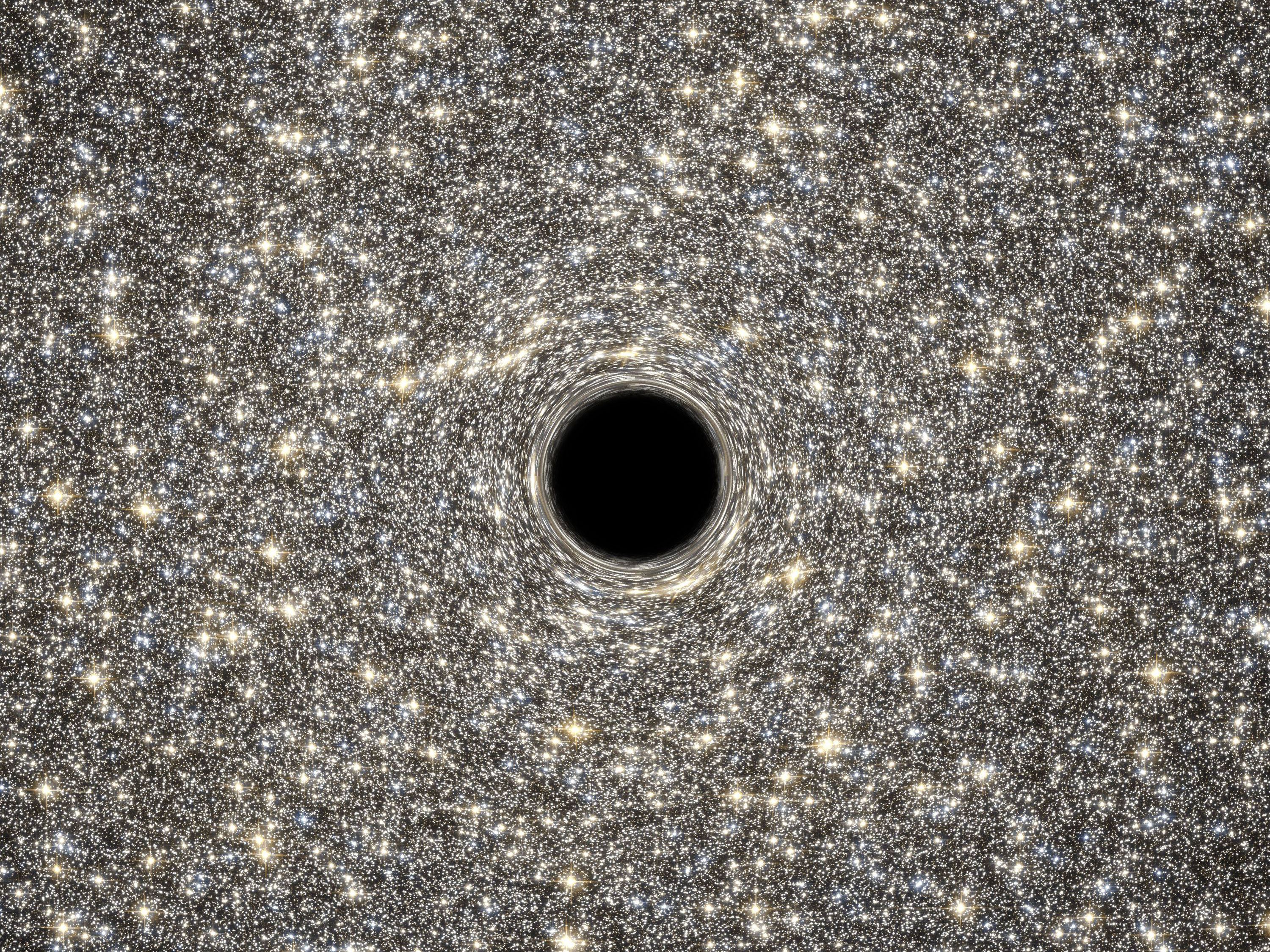 This is an illustration of the supermassive black hole located in the middle of the very dense galaxy M60-UCD1. Because no light can escape from the black hole, it appears simply in silhouette against the starry background. The black hole’s intense gravitational field warps the light of the background stars to form ring-like images just outside the dark edges of the black hole’s event horizon. Credit: NASA, ESA, D. Coe, G. Bacon (STScI)